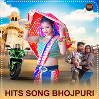 Hits Song Bhojpuri