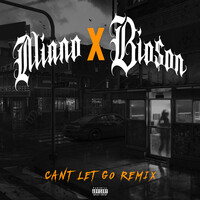 Can't Let Go (Remix)