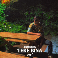 Tere Bina (Extended Version)