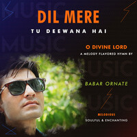 O Divine Lord | Dil Mere Tu Deewana Hai