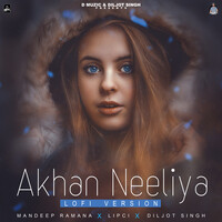 Akhan Neeliya (Lofi Version)
