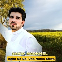 Agha Da Bal Cha Nama Shwa