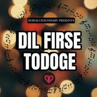 DIL FIRSE TODOGE