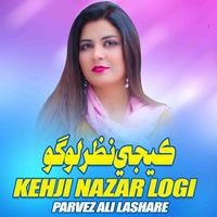 Kehji Nazar Lgi