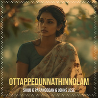 Ottappedunnathinnolam