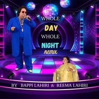 WHOLE DAY WHOLE NIGHT.wav (Remix)