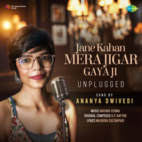 Jane Kahan Mera Jigar Gaya Ji - Unplugged