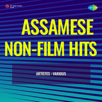 Assamese Non-Film Hits Vol-4