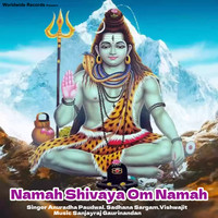 Namah Shivaya Om Namah