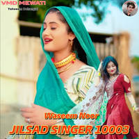 JILSAD SINGER 10003