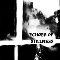 Echoes of Stillness