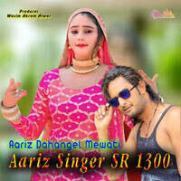 Aariz Singer SR 1300