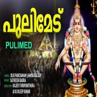 Pulimed