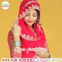 ASLAM SINGER SR6565 (MIX)