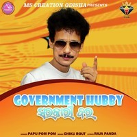 Government Hubby