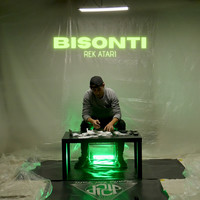 Bisonti