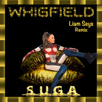 Suga (Remix)