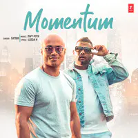 Momentum