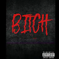 Bitch