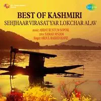 Best Of Kashmiri Folk Songs