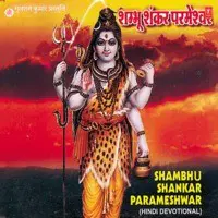 Shambhu Shankar Parameshwar