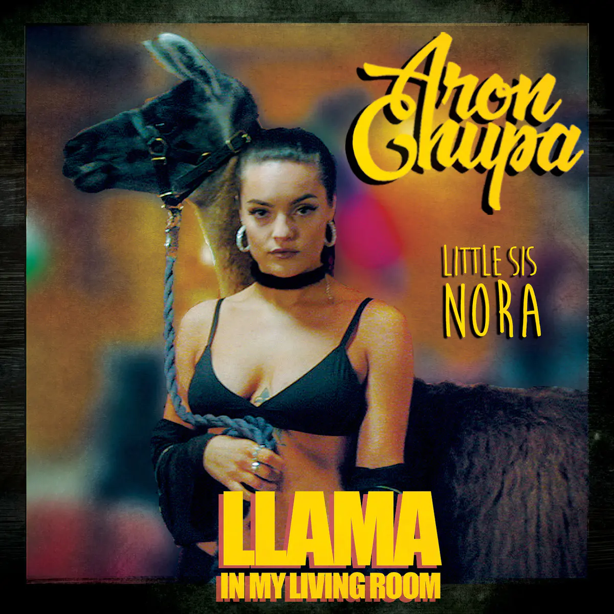 Llama In My Living Room Lyrics in English, Llama In My Living Room