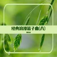 经典浪漫笛子曲(八)