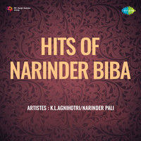 Hits Of Narinder Biba