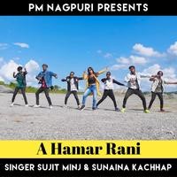 A Hamar Rani Tor Bharal Jawani ( Nagpuri Song )