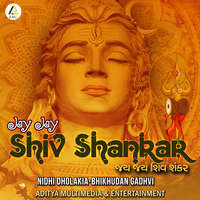 Jay Jay Shiv Shankar