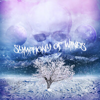 Symphony of Winds (Demo)