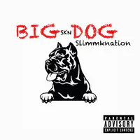 Big Dog