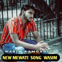 NEW MEWATI SONG REMIX