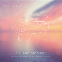 A Piano Moment - A Diverse Collection of Mellow Sounds