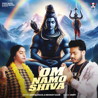 Om Namo Shiva