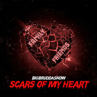 Scars of My Heart
