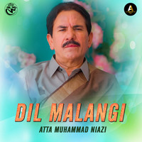 Dil Malangi