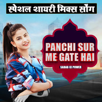 स्पेशल शायरी मिक्स सोंग - Panchi Sur Me Gate Hai