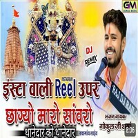 Insta Wali Reel Uper Chagiyo Maro Sanwaro Thanedar Ko Thanedar - Dj Remix