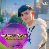 Hai Sanam Gulbari