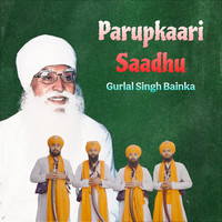 Parupkaari Saadhu