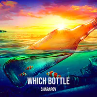 Which Bottle