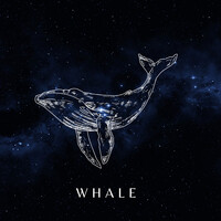 Whale Song Download Play & Listen Whale all MP3 Song by Satellite B Gaana