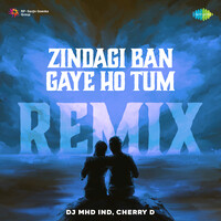 Zindagi Ban Gaye Ho Tum Remix
