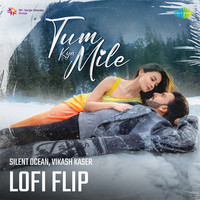 Tum Kya Mile - LoFi Flip