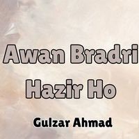 Awan Bradri Hazir Ho