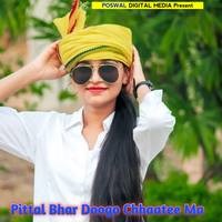 Pittal Bhar Doogo Chhaatee me
