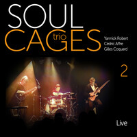 Soul Cages Trio 2 (Live)