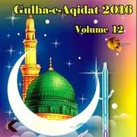 Gulha-e-Aqidat 2016, Vol-12