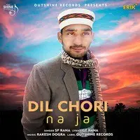 Dil Chori Na Ja